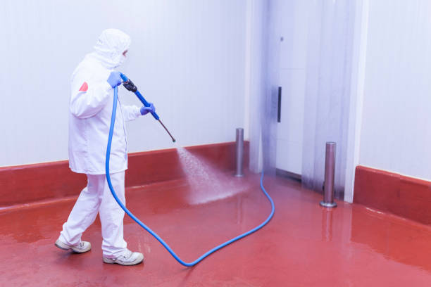 Best Window and Screen Pressure Cleaning in Greenville, MS